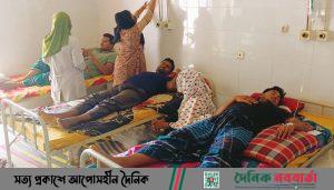 শেরপুরে বাড়ছে ডেঙ্গু রোগী, হাসপাতালে ভর্তি ২২