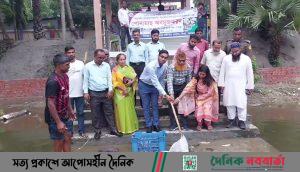 ঘিওরে জলাশয়ে পোনা মাছ অবমুক্তকরণ
