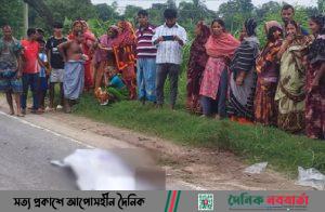 মানিকগঞ্জে ট্রাকচাপায় ভ্যানচালকের মৃত্যু