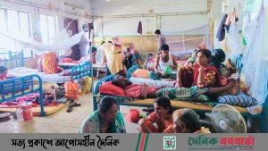 জামালপুরে ডেঙ্গু