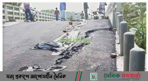 নলছিটি ব্রিজের অ্যাপ্রোচ সড়কে ধস