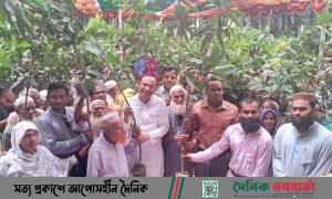কুড়িগ্রামে ১৫ হাজার ফলের চারা বিতরণ