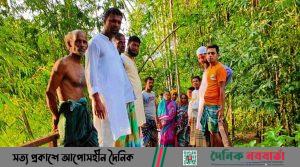 কাউখালীতে ঝুঁকিপূর্ণ ব্রিজ, দুর্ঘটনার আশঙ্কা