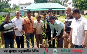 ঘিওর পাবলিক লাইব্রেরির মাঠ পরিষ্কার ও বৃক্ষরোপণ