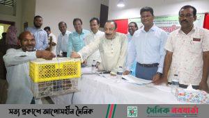 ফুলবাড়ীর ৩২০ ক্ষুদ্র নৃ-গোষ্ঠী পরিবার পেল মুরগীর প্যাকেজ