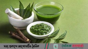 নিমপাতা