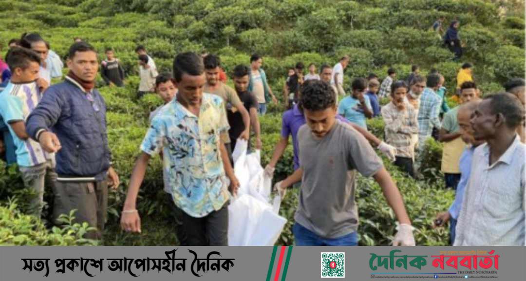 সিলেটে চা বাগান থেকে যুবকের হাত কাটা মরদেহ উদ্ধার