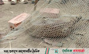 গন্ধগোকুল