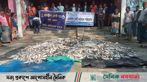 লক্ষ্মীপুরে ৩ টন জাটকা জব্দ, এতিমখানায় বিতরণ