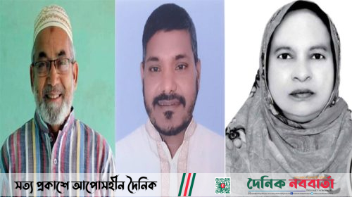 সাপাহারে উপজেলা পরিষদ নির্বাচনে বিজয়ী হলেন যারা