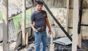 ঘিওরে বৈদ্যুতিক শর্ট সার্কিট থেকে লাগা আগুনে দুটি ঘর পুড়ে ছাই