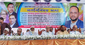 সুলতান সালাউদ্দিন টুকু
